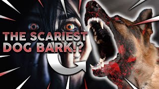 TOP 10 SCARIEST DOG BARKS Which Breed Has The Loudest Scariest Bark [upl. by Danelle]