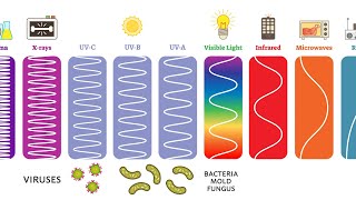 Ultraviolet UV Can Kill Bacteria amp Viruses – Learn The Basics [upl. by Dowd493]