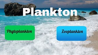 Difference between Zooplankton and Phytoplankton [upl. by Leihcim]