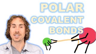 Polar Covalent Bonds [upl. by Preston]