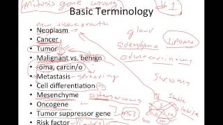 Neoplasia 1 Overview and Nomenclature [upl. by Ylrrad]