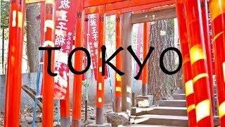 Tokyo in 30 seconds  Travel video [upl. by Cadal]