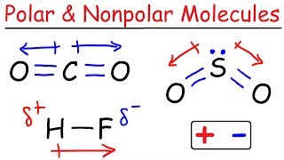 Polar and Nonpolar Molecules [upl. by Atis698]