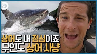 무인도에서 굶고 있는 베어그릴스 앞에 상어가 나타났다 Man vs Wild [upl. by Bjork253]