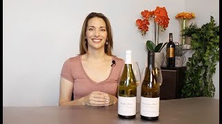 Sancerre vs Sauvignon Blanc [upl. by Azmah]