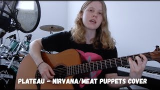 Plateau  NirvanaMeat Puppets Cover [upl. by Combs]