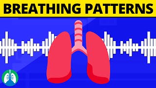 Breathing Patterns Abnormal and Irregular Respirations  Respiratory Therapy Zone [upl. by Aihcela]