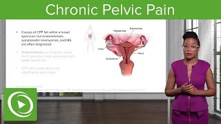 Pelvic Floor Part 1  The Pelvic Diaphragm  3D Anatomy Tutorial [upl. by Kerri]