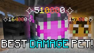 The BEST DAMAGING Pet  FEROCITY is OP  Hypixel Skyblock [upl. by Peppy]