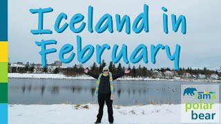 Iceland in February 🇮🇸 Reykjavik vlog [upl. by Kensell]