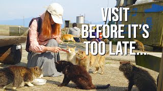 The Sad Reality of Japans Famous Cat Island  Aoshima [upl. by Pears304]