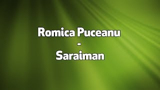 Romica Puceanu  Saraiman versuri lyrics karaoke [upl. by Anelis]