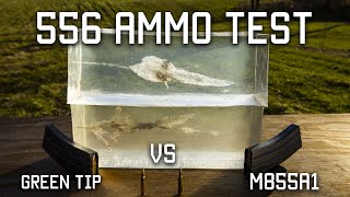 556 Ammo Test  Green Tip VS M855A1  Tactical Rifleman [upl. by Esinert]