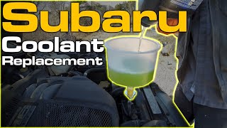 Subaru Coolant Replacement [upl. by Ellenrahs]