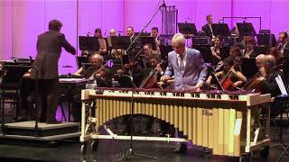 Concerto No 2 for Marimba mvt 1 by Ney Rosauro  Marimba Literature Library [upl. by Russia]