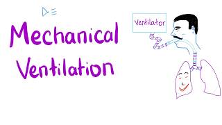 Mechanical Ventilation  Most COMPREHENSIVE Explanation 🤫 [upl. by Ahkeber]