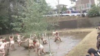 Warabi Hadaka Matsuri MUD FESTIVAL [upl. by Imailiv]