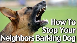 How To Stop Your Neighbor’s Dog From Barking  Short Version [upl. by Alby]