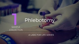 Phlebotomy [upl. by Idona549]