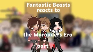 Fantastic Beasts reacts to Marauders Era part 13 [upl. by Enaed630]