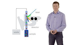 FACS  Fluorescence Activated Cell Sorting  Steffen Schmitt DKFZ [upl. by Lindly764]