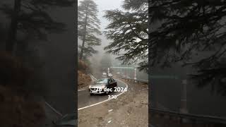 Snowfall update  Mussoorie  Dhanolti  28 dec 2024 [upl. by Henning]