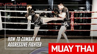 How To Combat An Aggressive Fighter In Muay Thai  Evolve MMA [upl. by Annayk869]