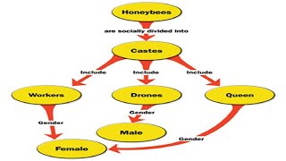 How to Make a Concept Map in Microsoft Word [upl. by Eillo506]