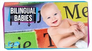 How Do Babies Become Bilingual [upl. by Laohcin]