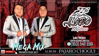 LOBO MIXTECO MEGA MIX DEL ALBUM PAJARO CHOGUI  PRODUCCION 2017 [upl. by Banquer]