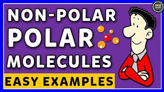 Polar And NonPolar Molecules  Chemistry [upl. by Nueoht]