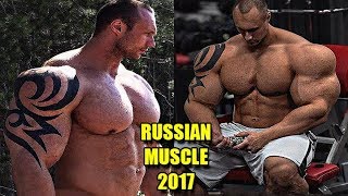 Biggest Russian Bodybuilders 2017  Real Life Giants  Bodybuilding Motivation [upl. by Gar]