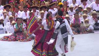 Jarabe Mixteco Guelaguetza [upl. by Elysha]