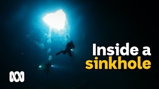 Worldclass sinkholes attract divers to South Australian farms 🕳️  Wild Rides Ep 4  ABC Australia [upl. by Iaw992]