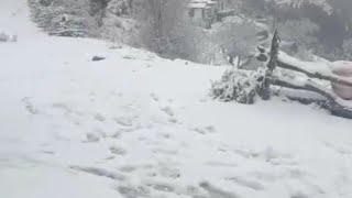 Mussoorie snowfall 2024 [upl. by Mainis]