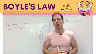 Boyles Law  Respiratory System [upl. by Adoree]