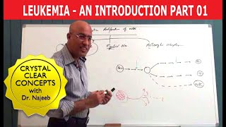 Leukocyte Abnormalities and Disorders An overview [upl. by Auehsoj]