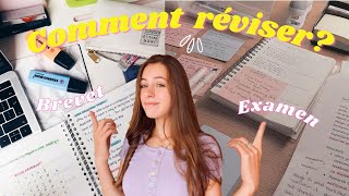 Comment RÉVISER ses cours brevet examenbac [upl. by Nelda508]