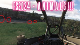 Finding ANIMALS in MSFS2024 [upl. by Bledsoe507]