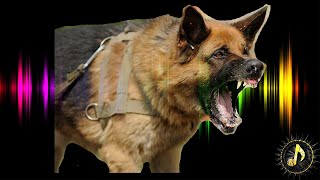 Aggressive Dog Barking Sound Effect  German Shepherd Dog Bark [upl. by Esenaj262]