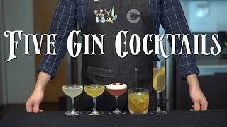 The 5 Easiest GIN Cocktails to Make at Home [upl. by Nedia]