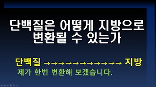 단백질은 어떻게 지방으로 변환될 수 있는가 [upl. by Abbe]