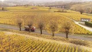 Vu du ciel  Sancerre et son vignoble [upl. by Guerin]