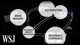 How Drug Prices Work  WSJ [upl. by Nerwal200]