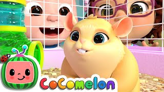 Class Pet Song  CoComelon Nursery Rhymes amp Kids Songs [upl. by Neram518]