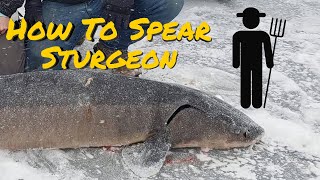 How To Spear Sturgeon Sturgeon Spearing Lake Winnebago [upl. by Laaspere]