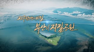 특집 지구탄생의 비밀 부산의 지질공원  KBS 210907 방송 [upl. by Motteo]