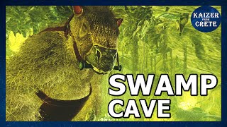 How to run SWAMP CAVE on the Island  LVL 68100 [upl. by Blondell580]