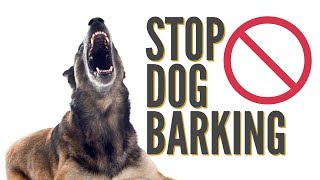 How To Quickly Stop Dog Barking [upl. by Aruol]