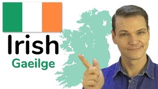 The Irish Language Gaelic [upl. by Aver976]